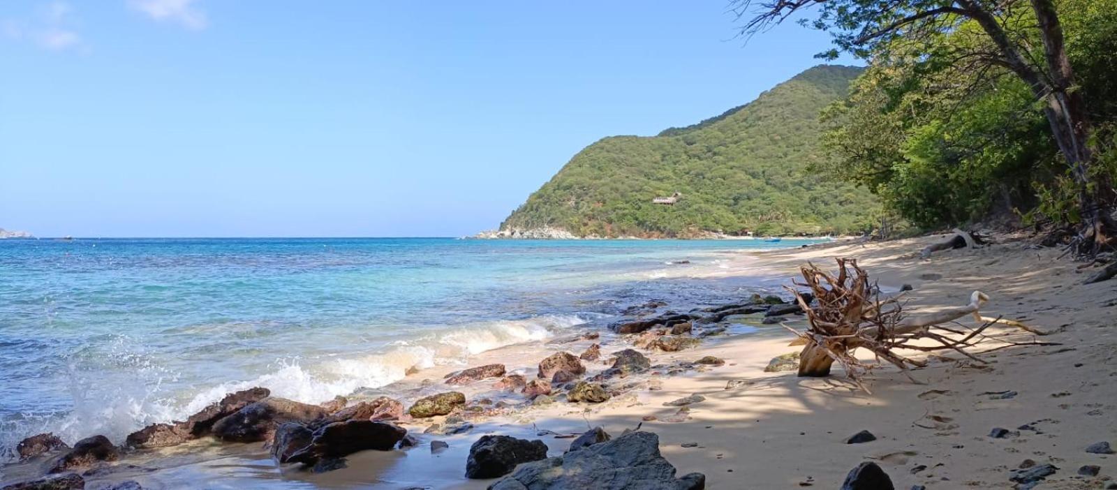Mirador Playa Cristal Tayrona Hotell Nenguange Exteriör bild