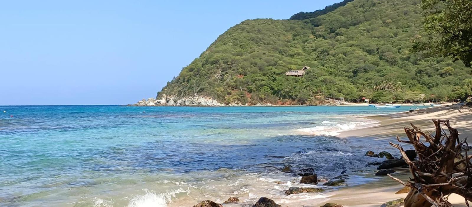 Mirador Playa Cristal Tayrona Hotell Nenguange Exteriör bild